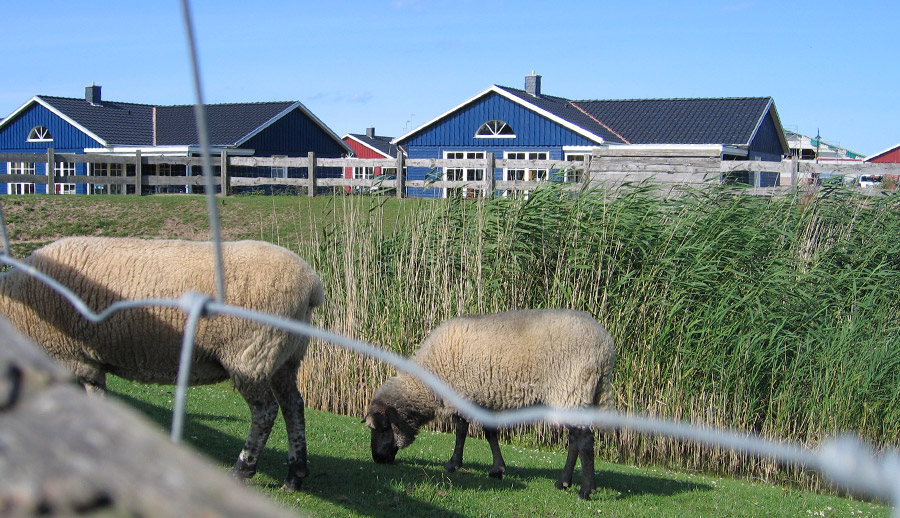 large umgebung koppel